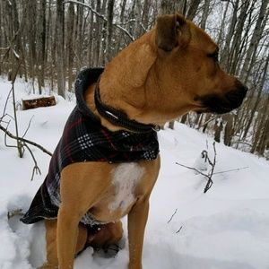 Meet your Posher, Marissa